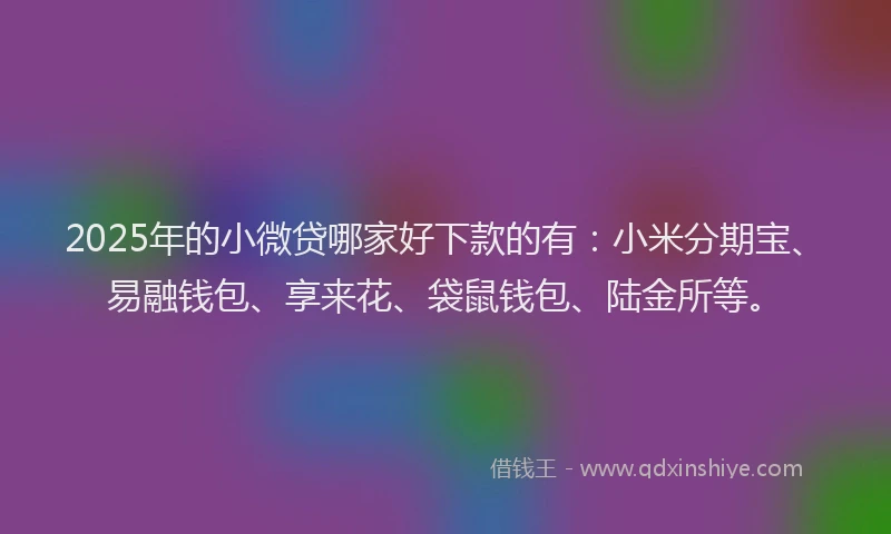 2025年的小微贷哪家好下款的有：小米分期宝、易融钱包、享来花、袋鼠钱包、陆金所等。