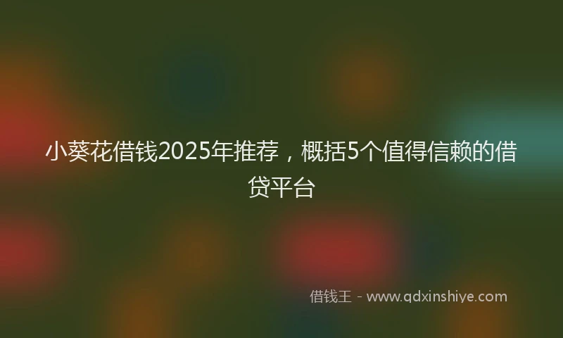 小葵花借钱2025年推荐，概括5个值得信赖的借贷平台