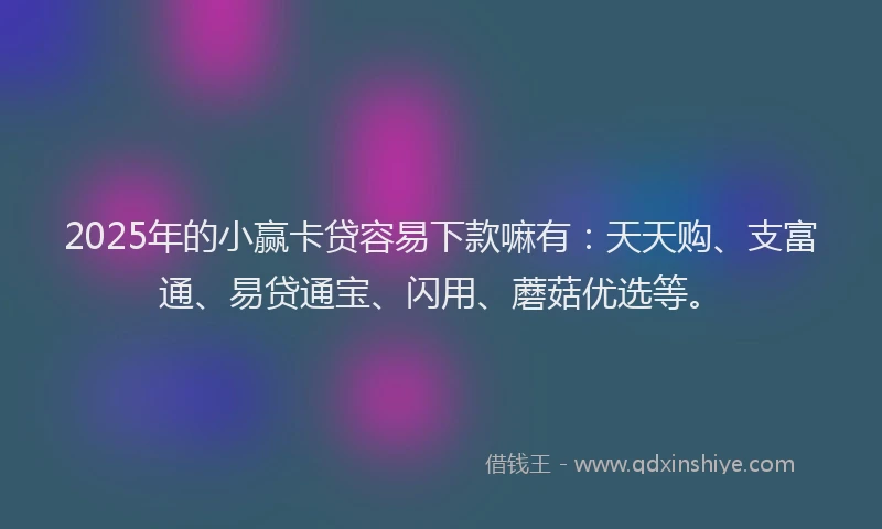 2025年的小赢卡贷容易下款嘛有：天天购、支富通、易贷通宝、闪用、蘑菇优选等。