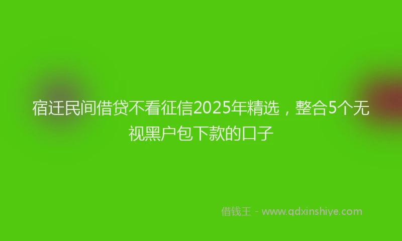 宿迁民间借贷不看征信2025年精选，整合5个无视黑户包下款的口子