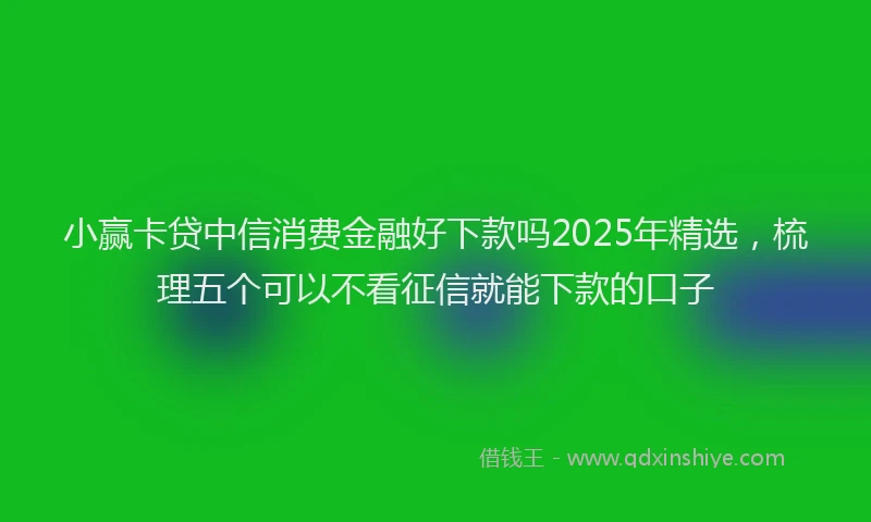 小赢卡贷中信消费金融好下款吗2025年精选，梳理五个可以不看征信就能下款的口子