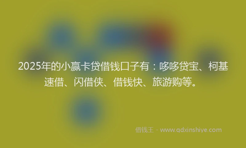 2025年的小赢卡贷借钱口子有：哆哆贷宝、柯基速借、闪借侠、借钱快、旅游购等。