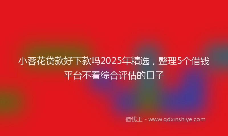 小蓉花贷款好下款吗2025年精选，整理5个借钱平台不看综合评估的口子