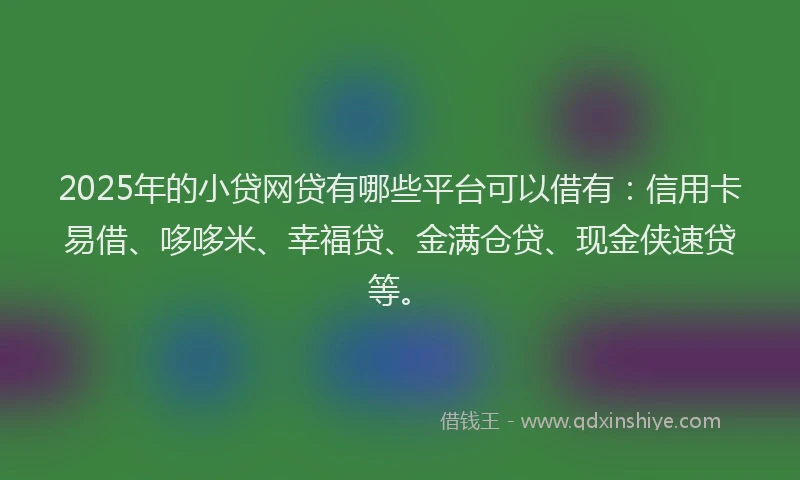 2025年的小贷网贷有哪些平台可以借有：信用卡易借、哆哆米、幸福贷、金满仓贷、现金侠速贷等。