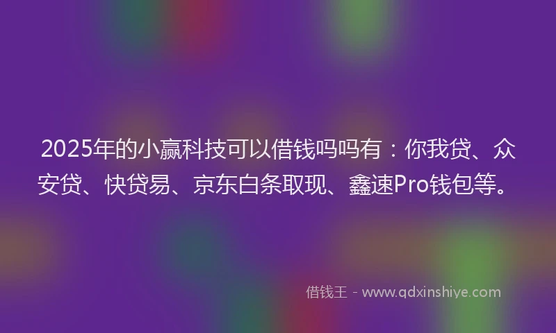 2025年的小赢科技可以借钱吗吗有：你我贷、众安贷、快贷易、京东白条取现、鑫速Pro钱包等。