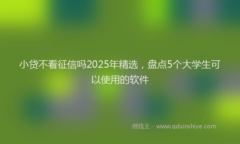 小贷不看征信吗2025年精选，盘点5个大学生可以使用的软件