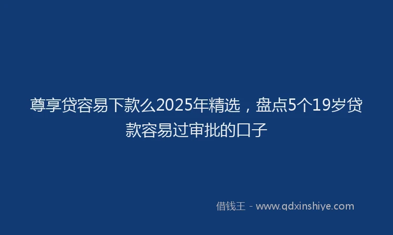 尊享贷容易下款么2025年精选，盘点5个19岁贷款容易过审批的口子