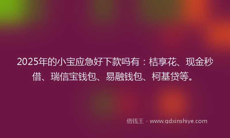 2025年的小宝应急好下款吗有：桔享花、现金秒借、瑞信宝钱包、易融钱包、柯基贷等。