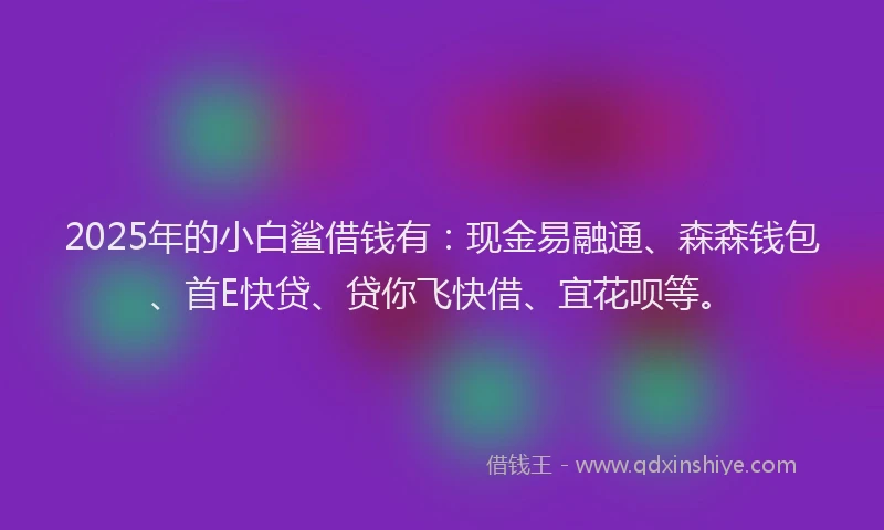 2025年的小白鲨借钱有：现金易融通、森森钱包、首E快贷、贷你飞快借、宜花呗等。
