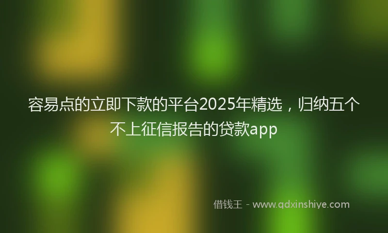 容易点的立即下款的平台2025年精选，归纳五个不上征信报告的贷款app