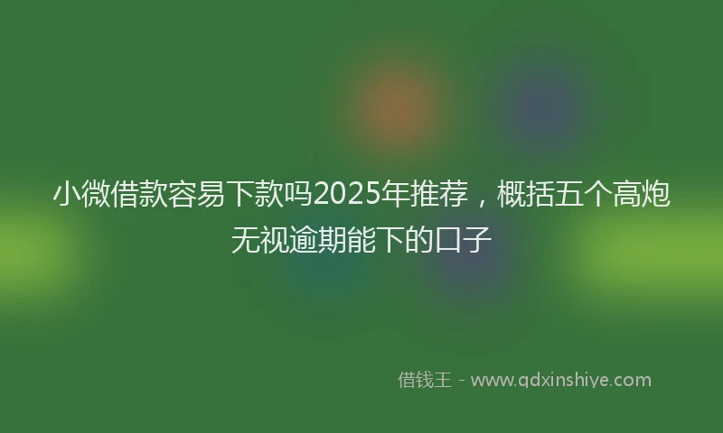 小微借款容易下款吗2025年推荐，概括五个高炮无视逾期能下的口子