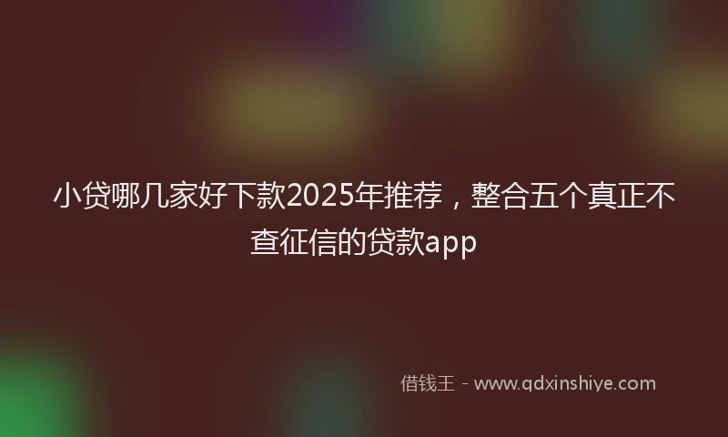 小贷哪几家好下款2025年推荐，整合五个真正不查征信的贷款app