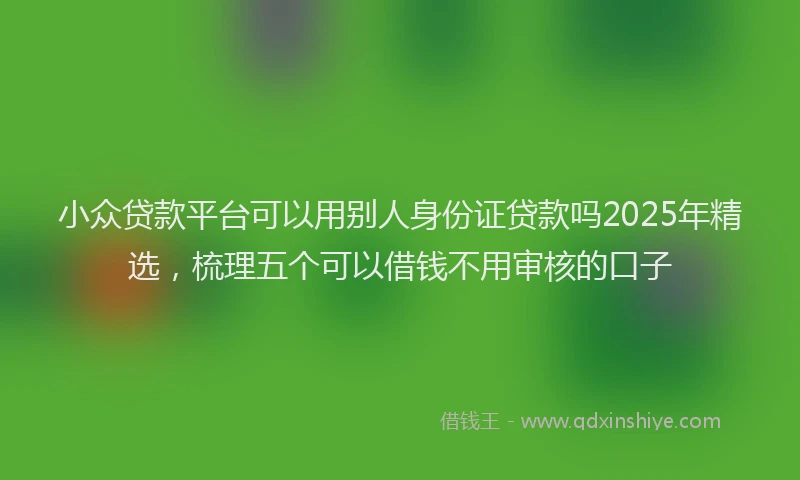小众贷款平台可以用别人身份证贷款吗2025年精选，梳理五个可以借钱不用审核的口子