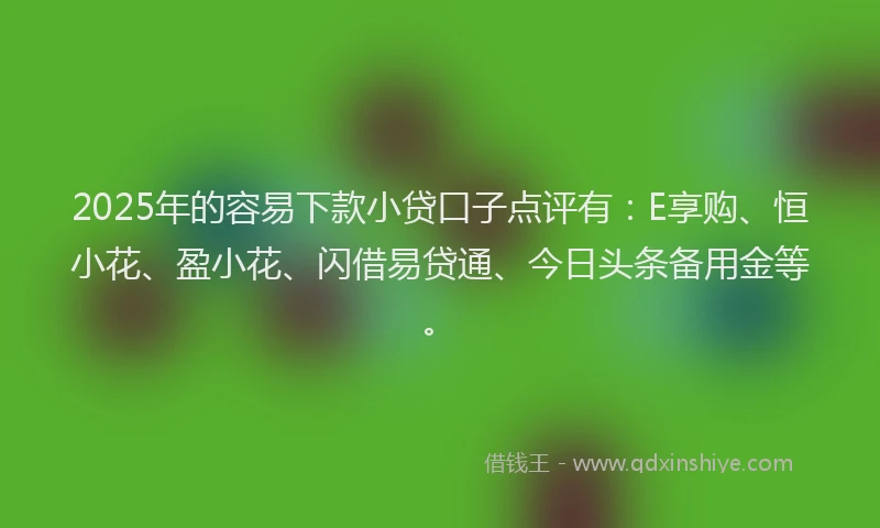 2025年的容易下款小贷口子点评有：E享购、恒小花、盈小花、闪借易贷通、今日头条备用金等。