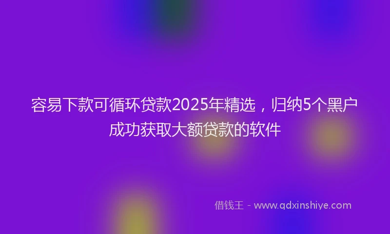 容易下款可循环贷款2025年精选，归纳5个黑户成功获取大额贷款的软件