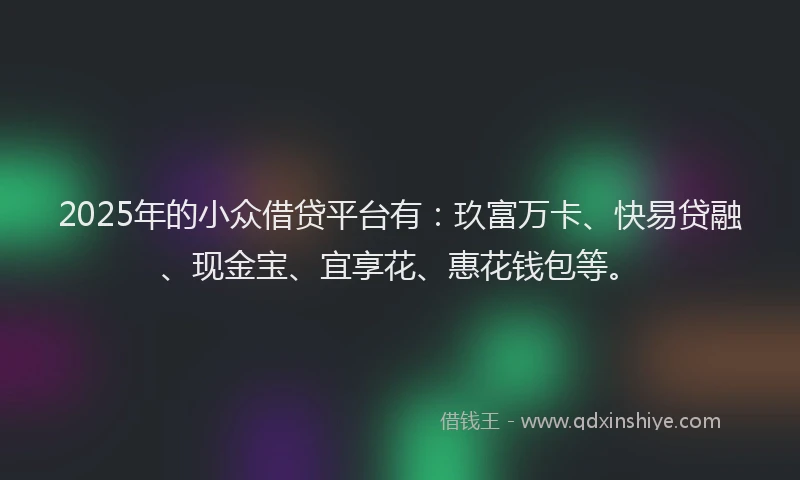 2025年的小众借贷平台有：玖富万卡、快易贷融、现金宝、宜享花、惠花钱包等。
