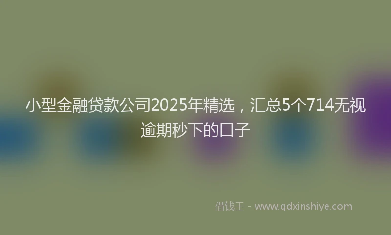 小型金融贷款公司2025年精选，汇总5个714无视逾期秒下的口子