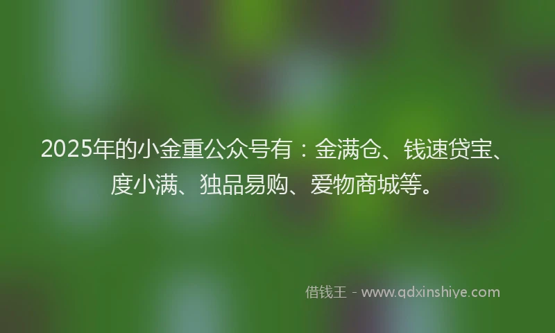 2025年的小金重公众号有：金满仓、钱速贷宝、度小满、独品易购、爱物商城等。