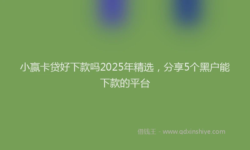 小赢卡贷好下款吗2025年精选，分享5个黑户能下款的平台