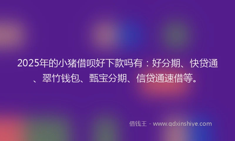 2025年的小猪借呗好下款吗有：好分期、快贷通、翠竹钱包、甄宝分期、信贷通速借等。