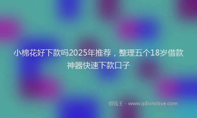 小棉花好下款吗2025年推荐，整理五个18岁借款神器快速下款口子