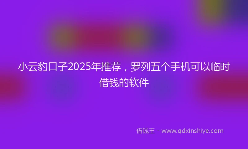 小云豹口子2025年推荐，罗列五个手机可以临时借钱的软件