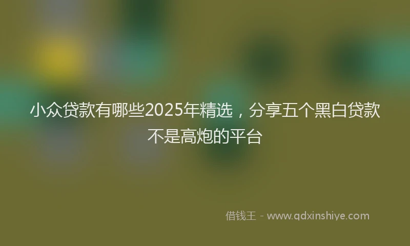 小众贷款有哪些2025年精选，分享五个黑白贷款不是高炮的平台