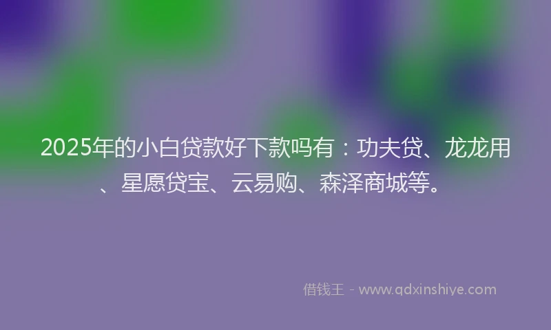 2025年的小白贷款好下款吗有：功夫贷、龙龙用、星愿贷宝、云易购、森泽商城等。