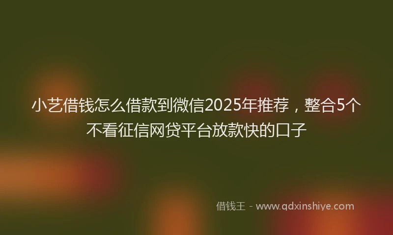 小艺借钱怎么借款到微信2025年推荐，整合5个不看征信网贷平台放款快的口子