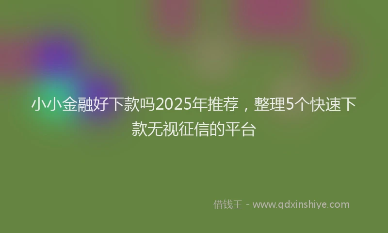 小小金融好下款吗2025年推荐，整理5个快速下款无视征信的平台