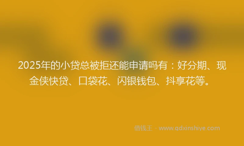 2025年的小贷总被拒还能申请吗有：好分期、现金侠快贷、口袋花、闪银钱包、抖享花等。