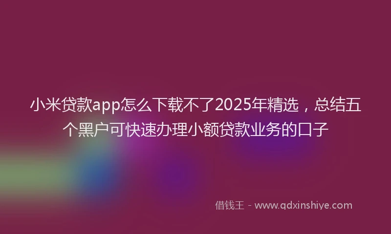 小米贷款app怎么下载不了2025年精选，总结五个黑户可快速办理小额贷款业务的口子