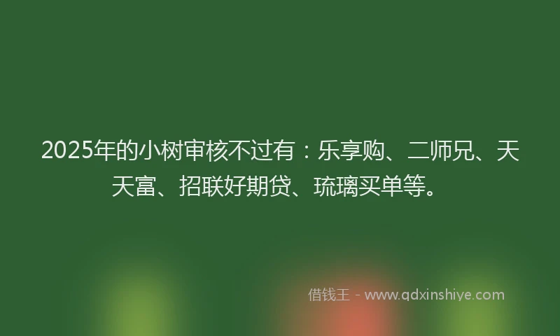 2025年的小树审核不过有：乐享购、二师兄、天天富、招联好期贷、琉璃买单等。