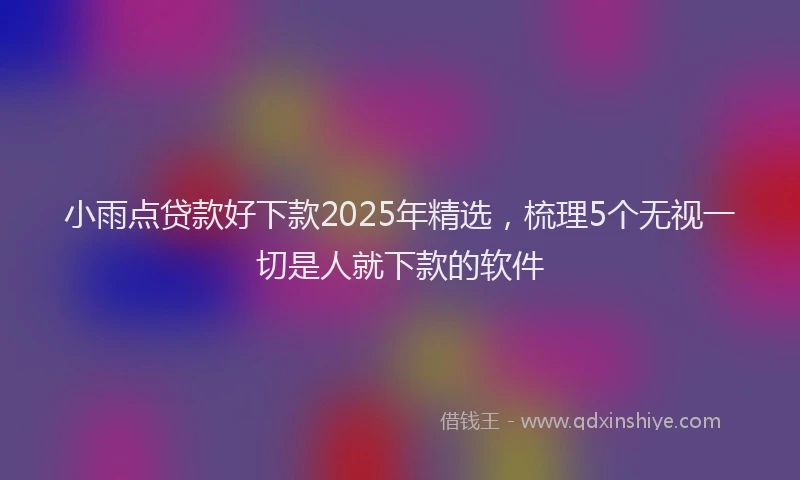 小雨点贷款好下款2025年精选，梳理5个无视一切是人就下款的软件