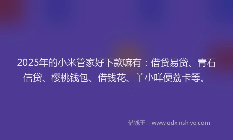 2025年的小米管家好下款嘛有：借贷易贷、青石信贷、樱桃钱包、借钱花、羊小咩便荔卡等。