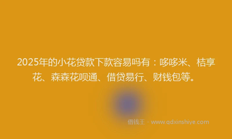 2025年的小花贷款下款容易吗有：哆哆米、桔享花、森森花呗通、借贷易行、财钱包等。