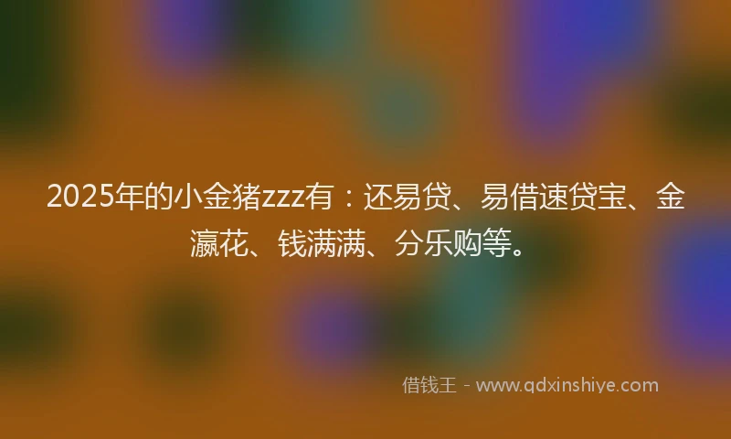 2025年的小金猪zzz有：还易贷、易借速贷宝、金瀛花、钱满满、分乐购等。