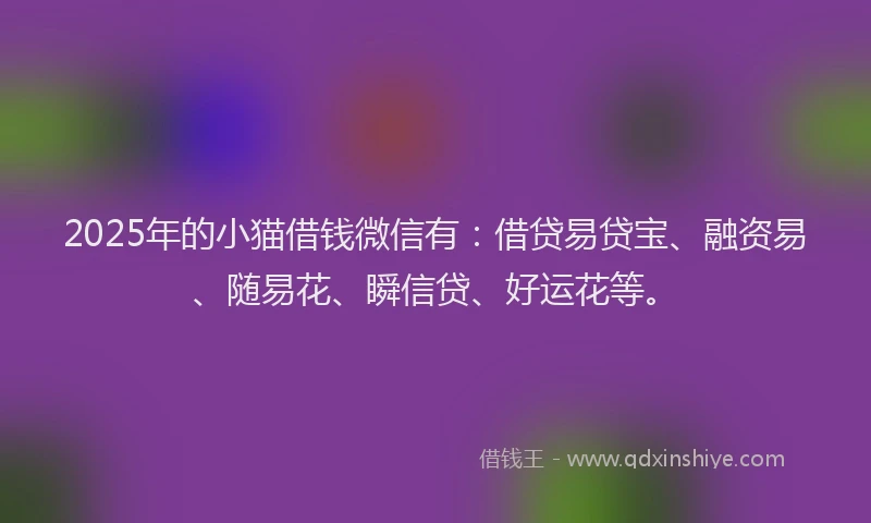 2025年的小猫借钱微信有：借贷易贷宝、融资易、随易花、瞬信贷、好运花等。