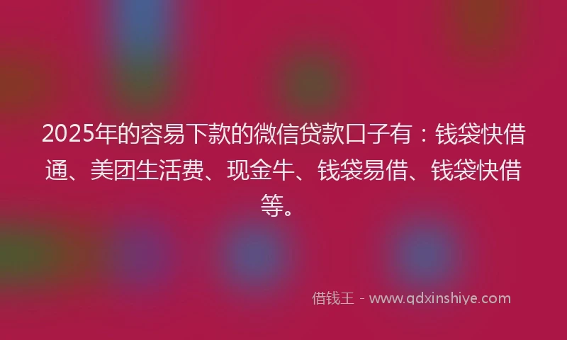 2025年的容易下款的微信贷款口子有：钱袋快借通、美团生活费、现金牛、钱袋易借、钱袋快借等。