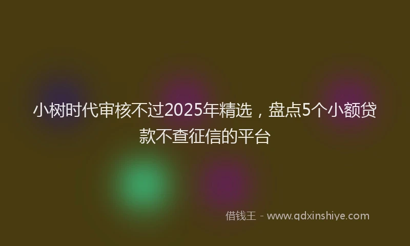 小树时代审核不过2025年精选，盘点5个小额贷款不查征信的平台