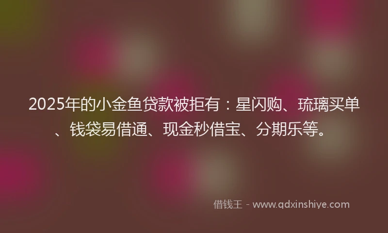 2025年的小金鱼贷款被拒有：星闪购、琉璃买单、钱袋易借通、现金秒借宝、分期乐等。