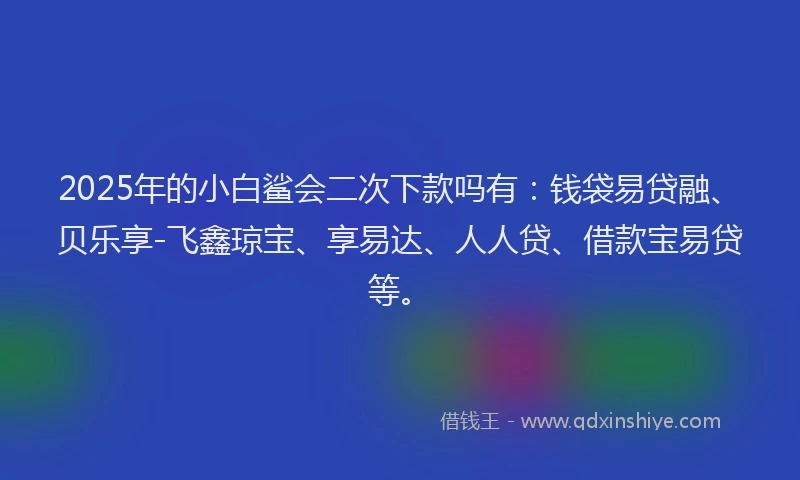 2025年的小白鲨会二次下款吗有：钱袋易贷融、贝乐享-飞鑫琼宝、享易达、人人贷、借款宝易贷等。