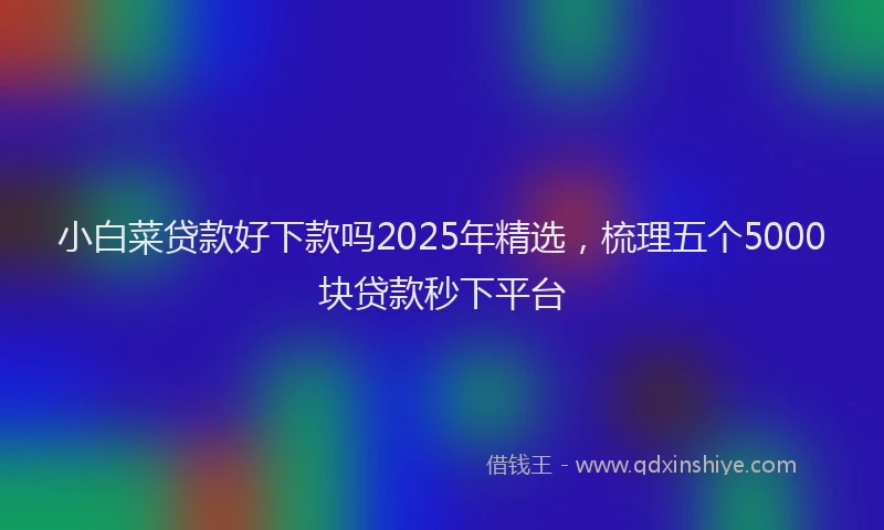 小白菜贷款好下款吗2025年精选，梳理五个5000块贷款秒下平台