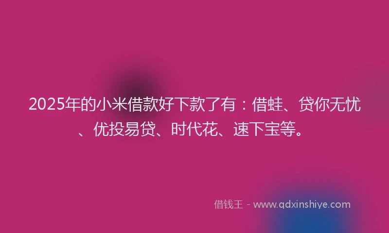 2025年的小米借款好下款了有：借蛙、贷你无忧、优投易贷、时代花、速下宝等。