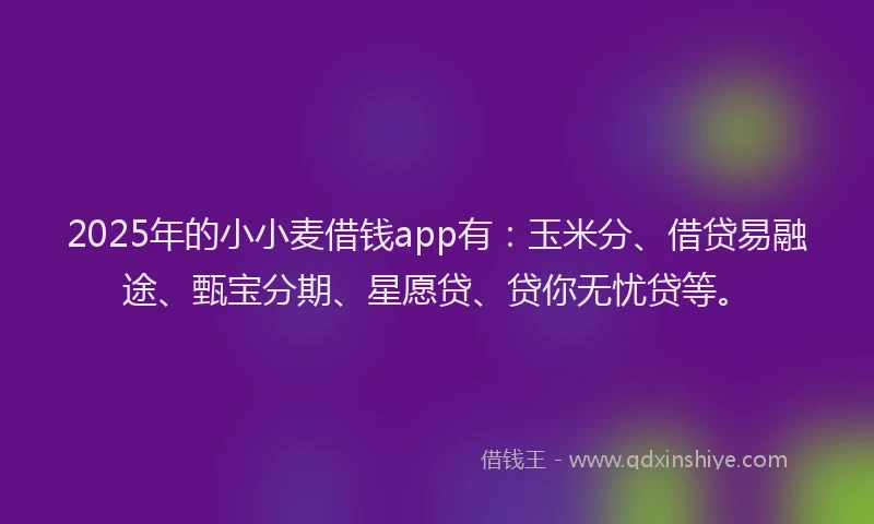 2025年的小小麦借钱app有：玉米分、借贷易融途、甄宝分期、星愿贷、贷你无忧贷等。