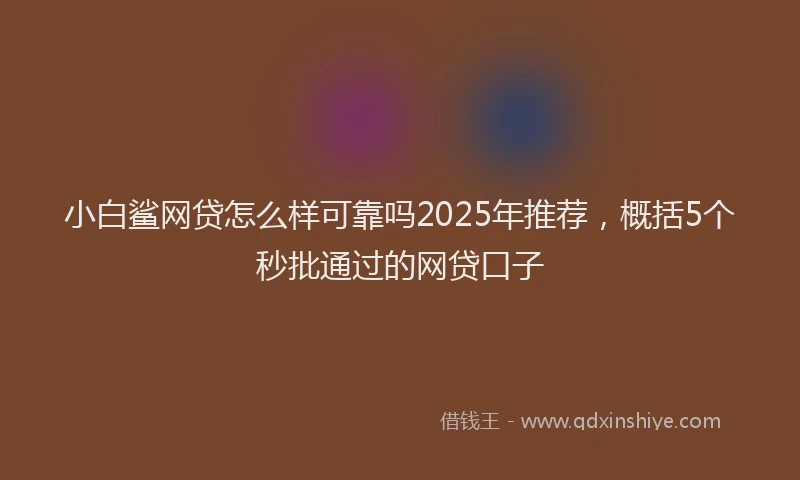 小白鲨网贷怎么样可靠吗2025年推荐，概括5个秒批通过的网贷口子