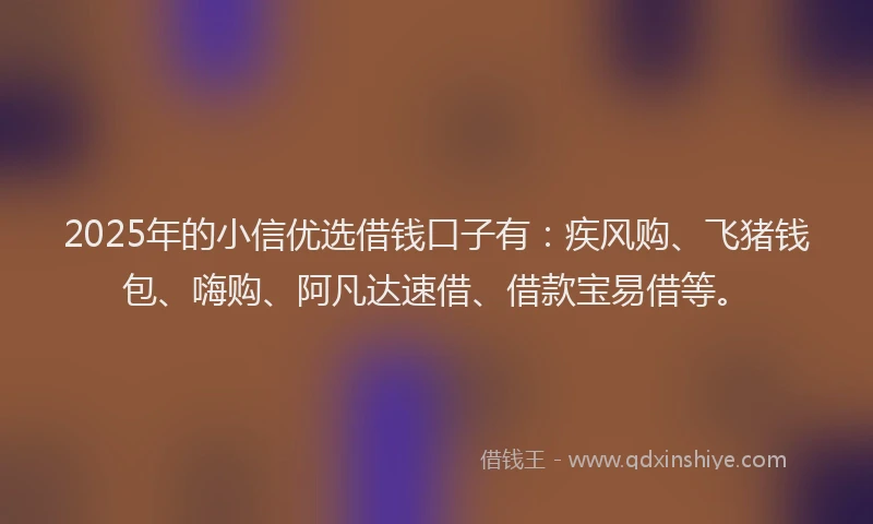 2025年的小信优选借钱口子有：疾风购、飞猪钱包、嗨购、阿凡达速借、借款宝易借等。