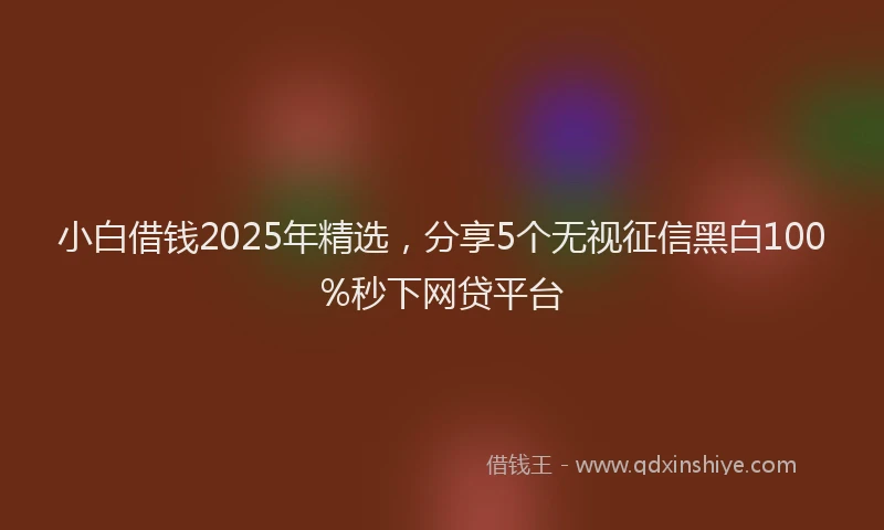 小白借钱2025年精选，分享5个无视征信黑白100%秒下网贷平台