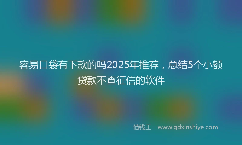 容易口袋有下款的吗2025年推荐，总结5个小额贷款不查征信的软件