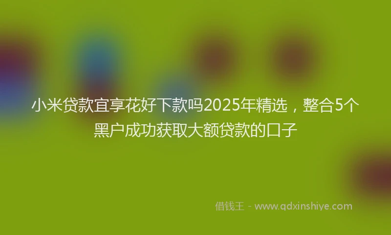 小米贷款宜享花好下款吗2025年精选，整合5个黑户成功获取大额贷款的口子